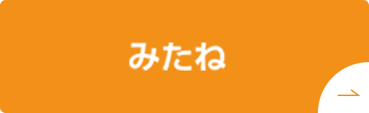 みたね